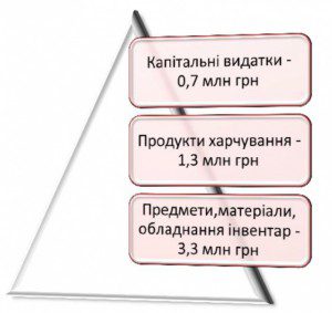 Баран-Ольга-для-змі-2