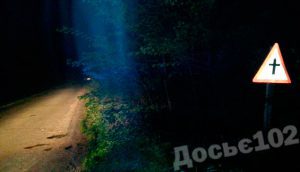 кабан-дтп