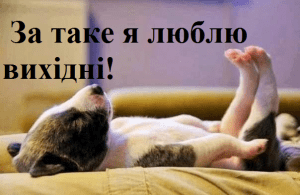 вихідні
