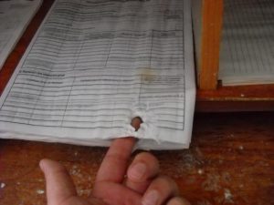 соцзабез4