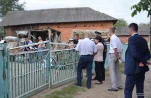 Бабинці