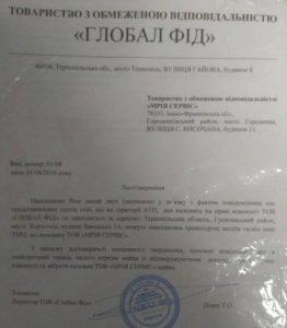 глобал-фід