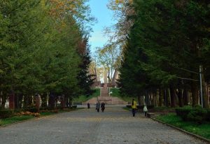 старий 7