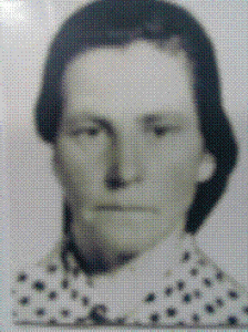 rozshuk