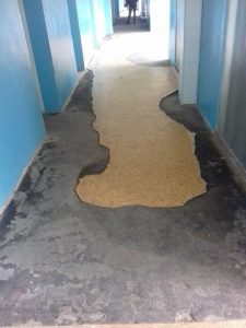 poliklinika2