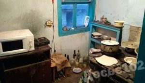 rozshuk8