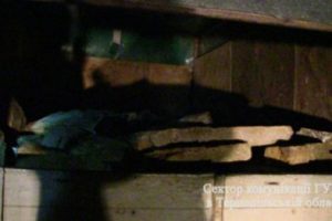 kamin1