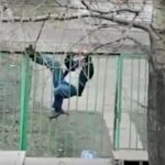 На Тернопільщині чоловік без запрошення прийшов у гості до жінки і отримав штраф
