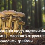 Жителів Копичинців просять не поширювати фейки щодо отруєння грибами місцевої сім’ї