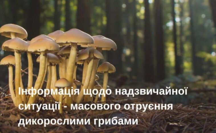 Жителів Копичинців просять не поширювати фейки щодо отруєння грибами місцевої сім’ї