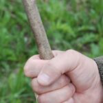 На Тернопільщині через малину чоловік побив до смерті безхатька