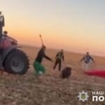 Судитимуть трьох чоловіків, які убили кабана