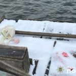 На Тернопільщині знайшли тіло зниклого пенсіонера