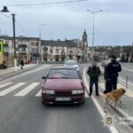 У Теребовлі двох жінок збили на переході — ще один чоловік травмований у Збаражі