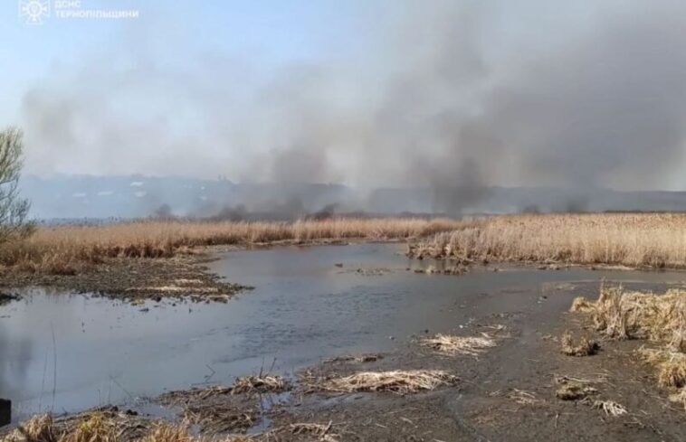 Масштабна пожежа біля Тернополя