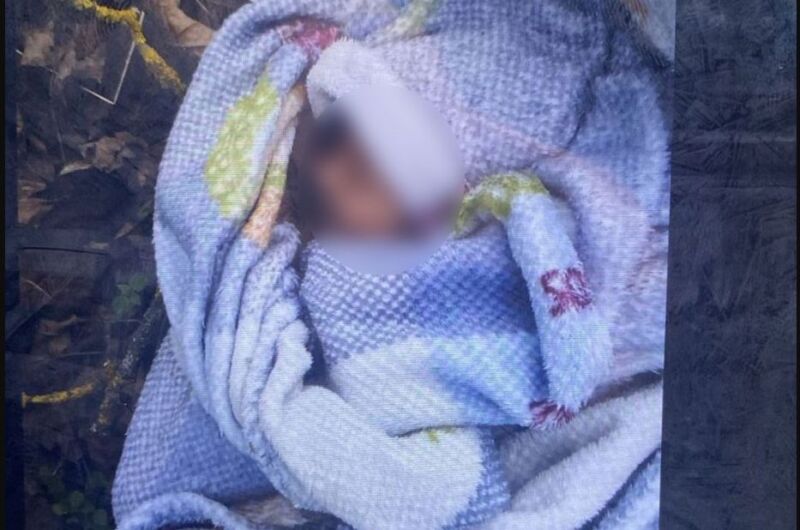 Знайшли 19-річну жінку, яка залишила новонародженого хлопчика у Вишнівці на вулиці