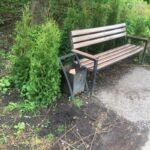 У Ланівцях вдруге знищили висаджені туї на набережній