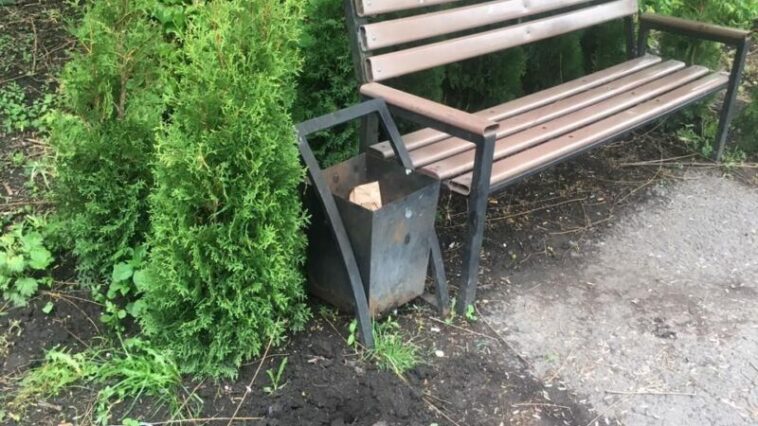 У Ланівцях вдруге знищили висаджені туї на набережній