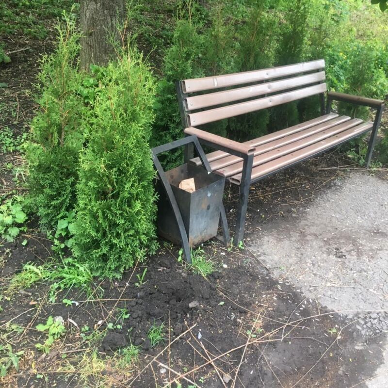 У Ланівцях вдруге знищили висаджені туї на набережній