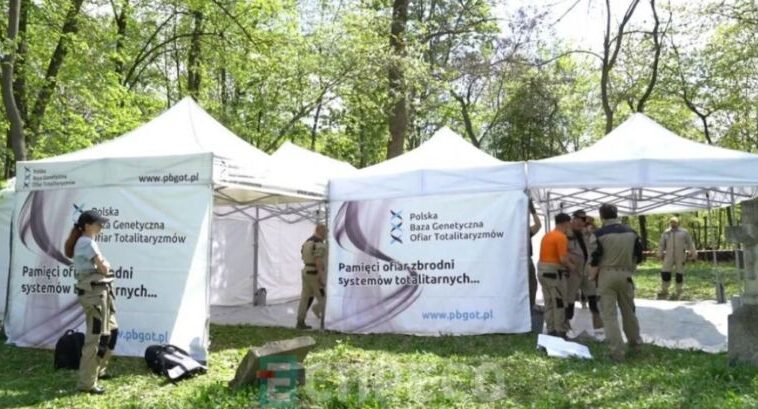 Ексгумація на Тернопільщині: польські дослідники знайшли останки понад 30 людей, роботи тривають