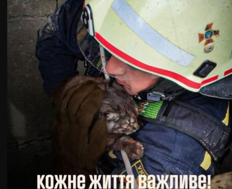На Тернопільщині рятувальники витягли кота з криниці