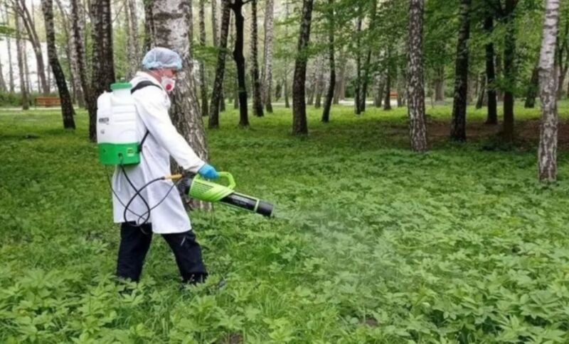 Обробка від кліщів у Тернополі: не плануйте прогулянки парками 21 та 22 травня
