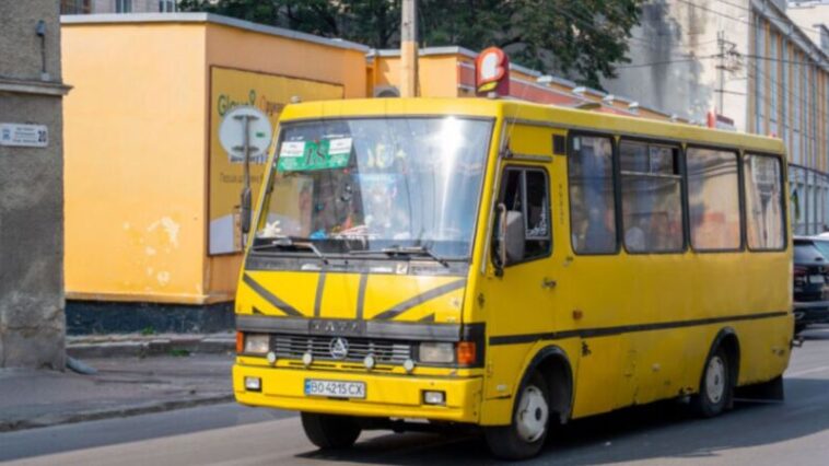 До Березовиці, Білої та Острова курсуватимуть нові маршрутки — реакція Тернопільської ОВА