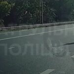 У Тернополі водій перевищив швидкість і не зупинився на вимогу патрульних