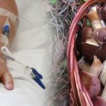 Померли троє дітей, ще п'ятеро захворіли: судитимуть багатодітну матір з Копичинців