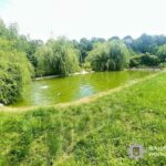 На Кременеччині ледь не втопилася трирічна дитина