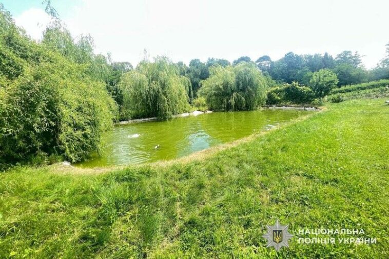 На Кременеччині ледь не втопилася трирічна дитина