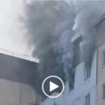 У Тернополі під час пожежа собака вистрибнув з 10-го поверху