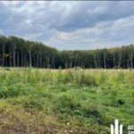 На Тернопільщині ДБР повідомило про підозру керівництву держлісгоспу через незаконні рубки на понад 56 млн грн