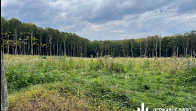 На Тернопільщині ДБР повідомило про підозру керівництву держлісгоспу через незаконні рубки на понад 56 млн грн
