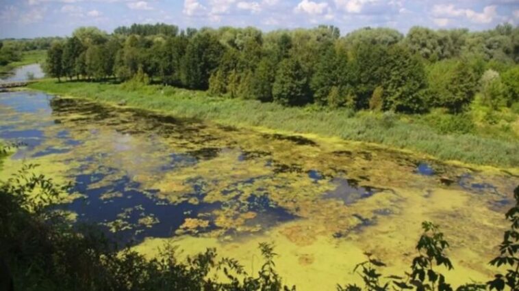 Через скиди нечистот у Ікву довкіллю завдали збитків на два мільйони: судитимуть інженера