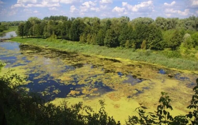 Через скиди нечистот у Ікву довкіллю завдали збитків на два мільйони: судитимуть інженера
