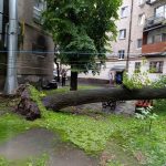 Під час зливи у Тернополі впало дерево на балкон