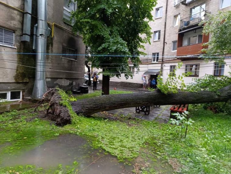 Під час зливи у Тернополі впало дерево на балкон