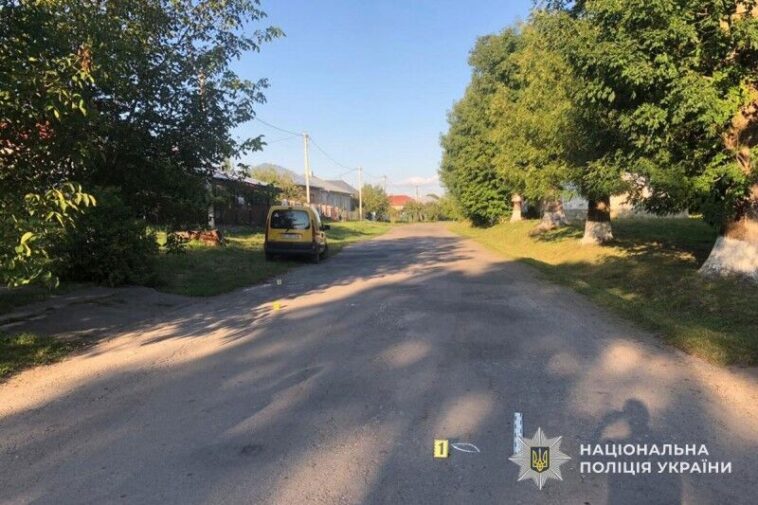 ДТП на Тернопільщині: водій збив пішохода