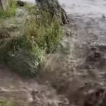 Негода вдарила по Монастириськах: вулиці затоплені, урожай знищено
