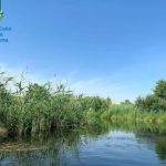 Гідроспоруди в Буцневі та Мишковичах без документів: прокуратура подала позов на громаду