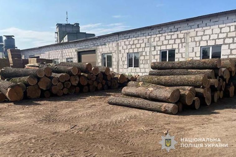 Понад 3 млн збитків: судитимуть «чорних» лісорубів Тернопільщини
