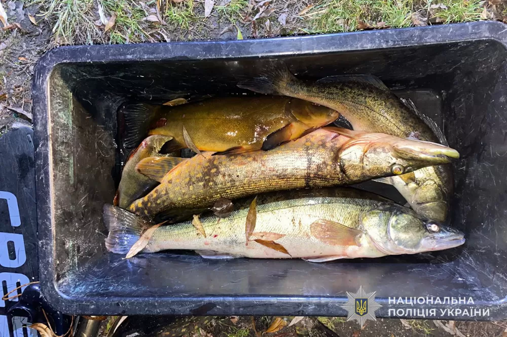 У Тернополі нацгвардійці викрили чоловіків, що незаконно займалися підводним ловом риби