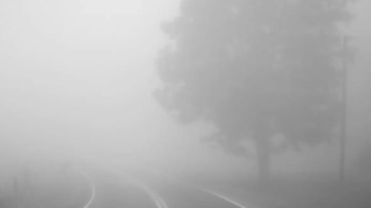 Синоптики попереджають про туман на Тернопільщині