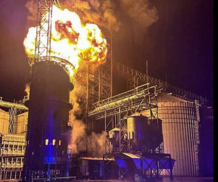 Палало 200 тонн соняшника: в Острові гасили масштабну пожежу на 25-метровій висоті
