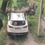У центрі Тернополя дерево впало на припаркований автомобіль
