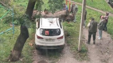 У центрі Тернополя дерево впало на припаркований автомобіль