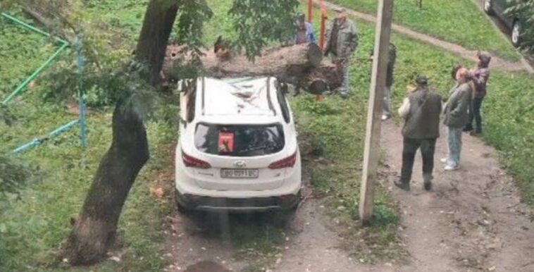 У центрі Тернополя дерево впало на припаркований автомобіль