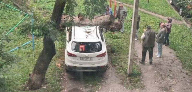 У центрі Тернополя дерево впало на припаркований автомобіль