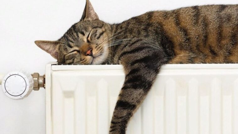 У Тернополі ввімкнули опалення: де?